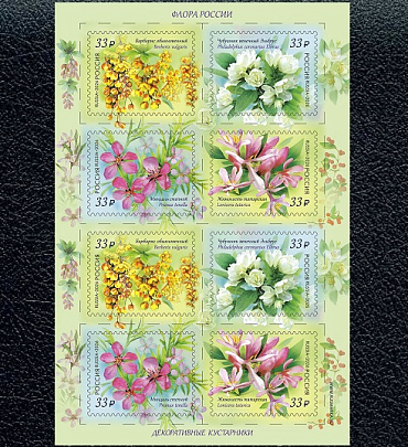 Россия, 2026, Кустарники, малый лист